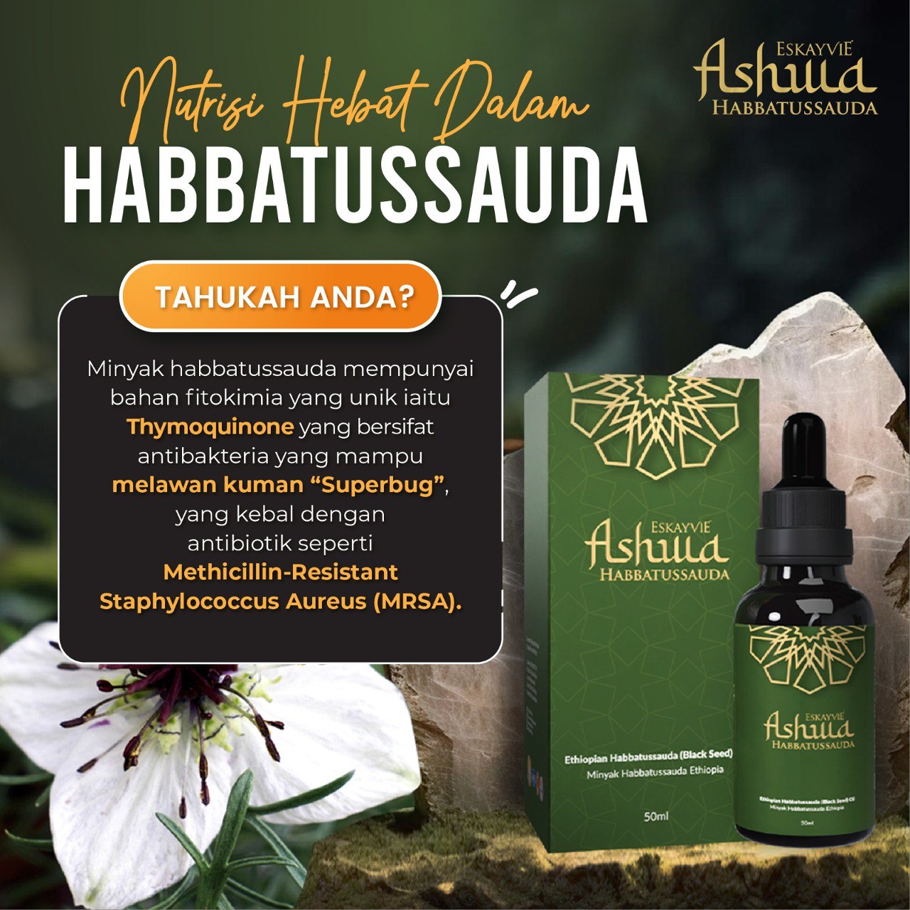 ASHWA Habbatussauda Combo (50ml x2)
